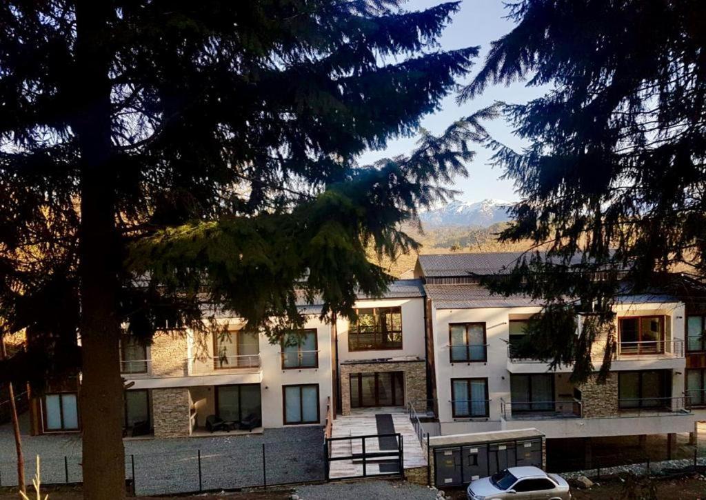 R&R Vibes Διαμέρισμα Villa La Angostura Εξωτερικό φωτογραφία